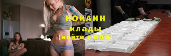 шишки Заволжск