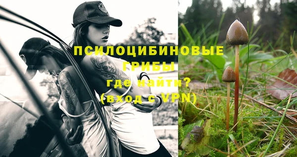 шишки Заволжск