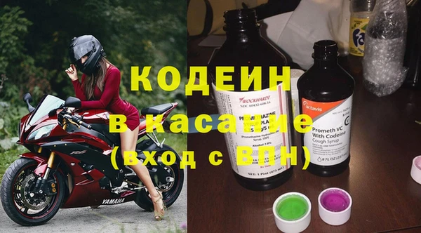 шишки Заволжск