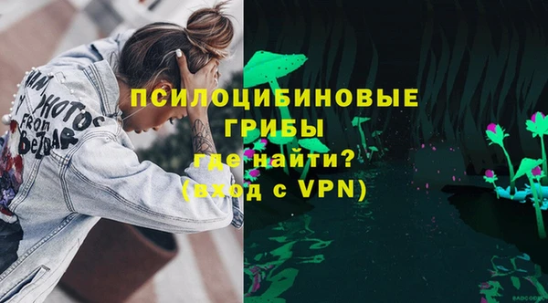 шишки Заволжск