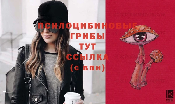 синтетический гашиш Заводоуковск